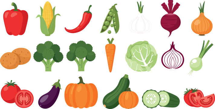 "Set of Colorful Vegetable Illustrations with Carrots, Tomatoes, Pumpkin, Peas, and More"