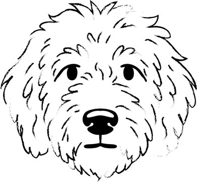 Cute doodle dog head illustration, hand drawn sketch style portrait of a fluffy puppy, friendly pet face, vector graphic design element for animal lovers