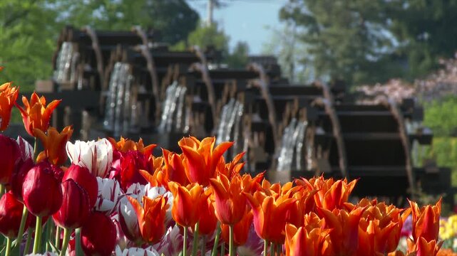 砺波チューリップ公園の五連水車