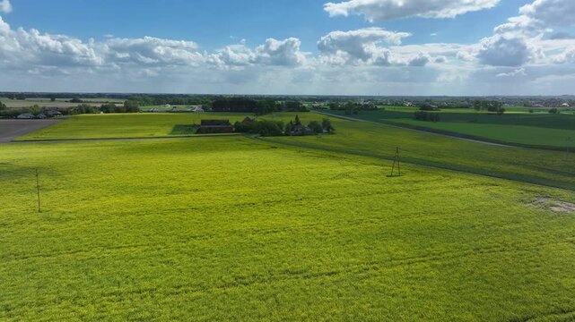 Aerial farm house Rapeseed historic Poland. North Poland. rural agricultural landscape. Bright yellow Rape seed canola oil plants. Farming economy food vegetable oil biodiesel production.