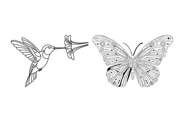 Fototapeta premium Hummingbird feeding from flower with butterfly nature vector illustration, butterfly