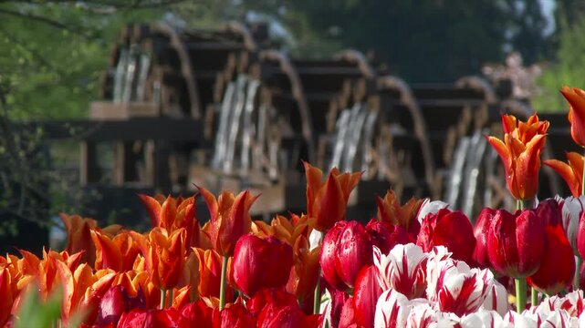 砺波チューリップ公園の五連水車