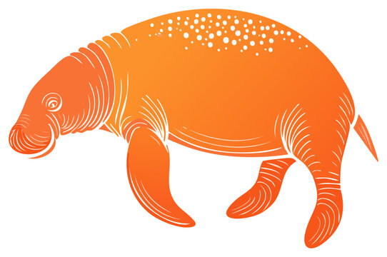 Stylized orange manatee marine mammal illustration with linocut art style