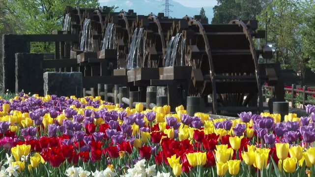 砺波チューリップ公園の五連水車