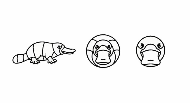Platypus line art illustrations for wildlife themes