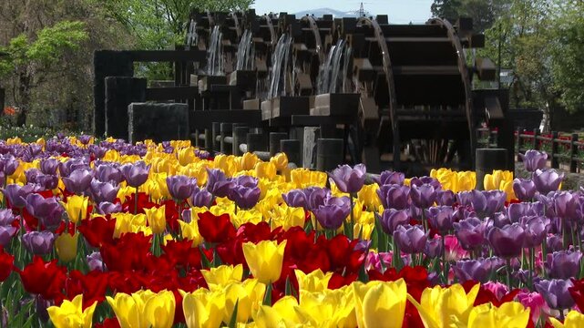 砺波チューリップ公園の五連水車