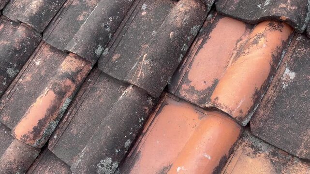 Close Up of Weathered Terracotta Roof Tiles in Bright Daylight