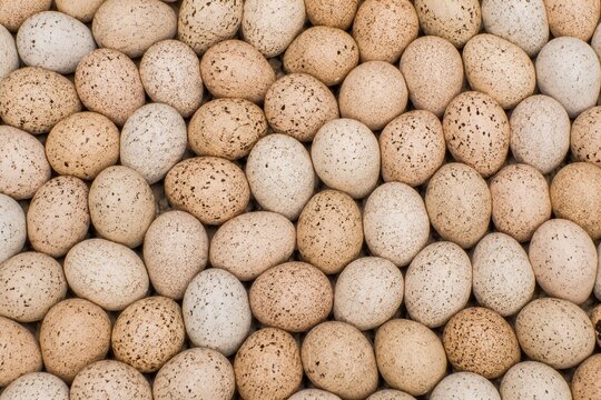 Turkey Egg Background. Egg Background. Generative Ai