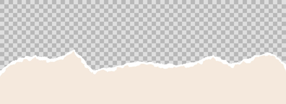 Beige torn paper bottom element background. Jagged uneven edge wave border for letterhead, header, footer, design template, collage, banner, sticker, poster. Vector curve paper piece frame divider