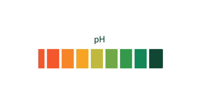 Colorful pH Scale Gradient for Chemical Measurement Visual.