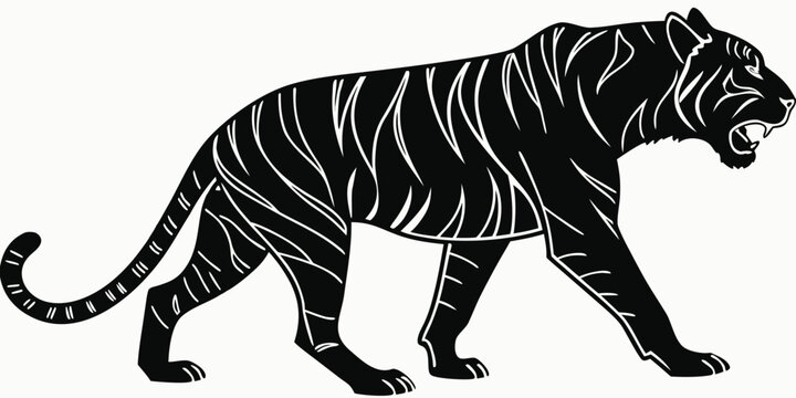 Aggressive tiger stalking vector silhouette illustration with predator wildlife silhouette illustration aggressive stalking growling powerful carnivore isolated minimalist dangerous