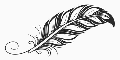 Stylized black and white feather illustration with intricate details and a decorative curved quill graceful curve decoration artistic delicate graceful isolated illustration abstract © Hemal