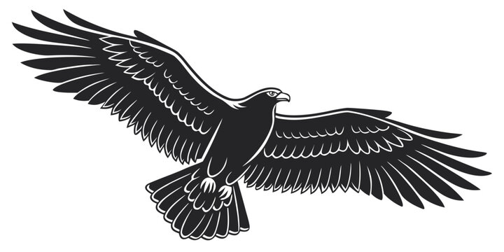 Majestic flying eagle silhouette illustration with fully spread wings and sharp details bird of prey wildlife art wild bird hunter bird isolated on white silhouette majestic predator wildlife