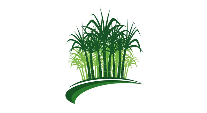 Illustration of lush green sugarcane plants cluster.