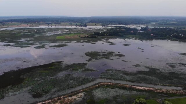 Aerial view of the Huay Saneng reservoir area with green algae on the water surface and lush vegetation in Surin, Thailand.