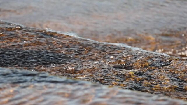 Shallow river water flows over rock weir in golden hour sunshine