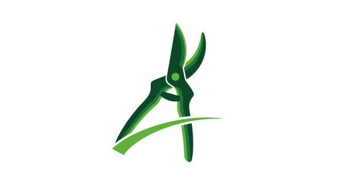 Green bamboo leaves forming elegant abstract shape design.