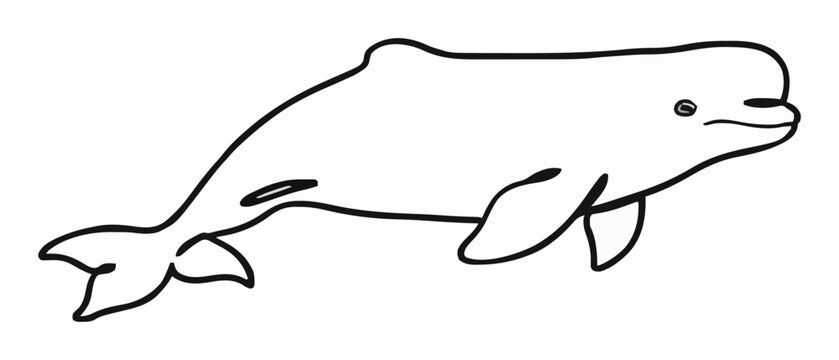 Beluga whale side view minimalist line art vector icon. Generative AI