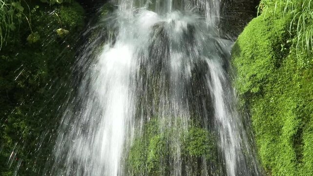 苔と流れ
