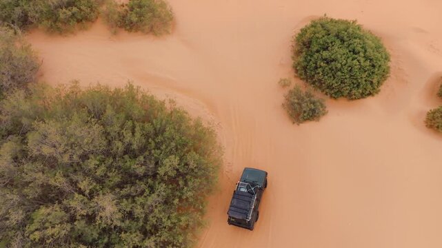 Top-down drone view of a vintage Range Rover Classic parked by a lush oasis in the Sahara. Cinematic sunset over dunes and greenery in the desert of southern Tunisia, North Africa