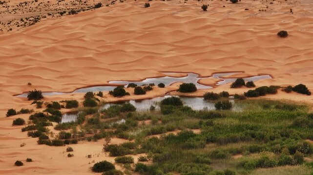 Cinematic drone view of a small desert outpost and natural spring lake hidden in a lush green oasis. Rolling Sahara sand dunes at sunset in southern Tunisia, North Africa expedition