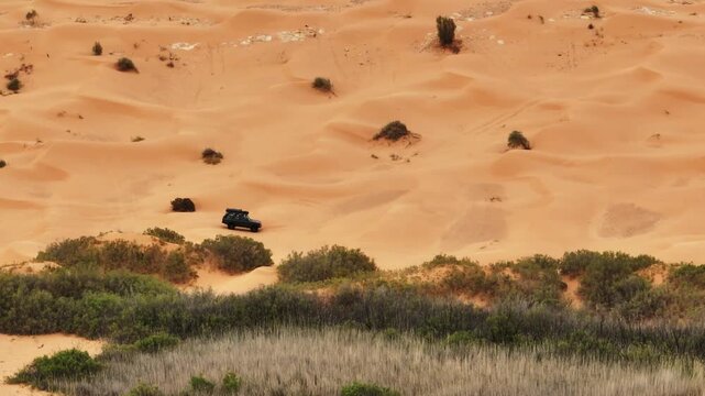 Range Rover Classic driving near a desert oasis at sunset. Lush greenery meeting the Sahara Desert sand dunes during golden hour in Tunisia.