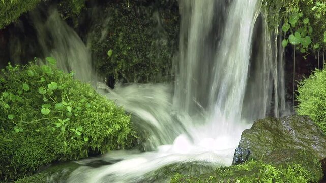 苔と流れ