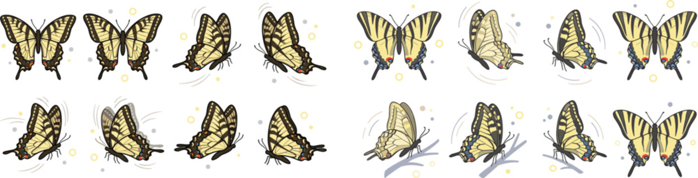 Tiger Swallowtail Butterfly Vector Illustration Set Featuring Yellow and Black Striped Papilio Glaucus in Various Flying and Resting Poses for Nature and Garden Designs