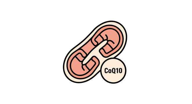 Mitochondria with CoQ10 molecule illustration, cell biology, energy production
