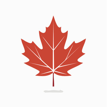Red Maple Leaf Icon
