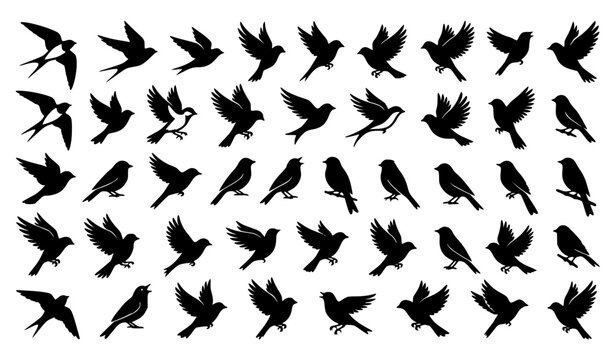 Elegant Tiny Bird Silhouette Bundle with Minimal Flying Animal Shapes