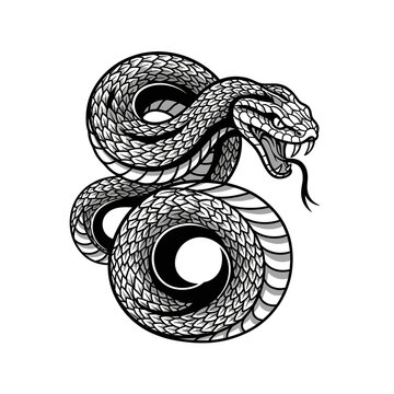 Intricate Line Art of a Coiled Cobra Snake