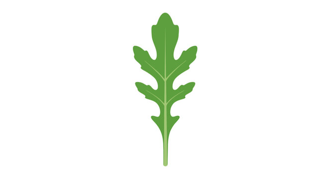 Isolated Fresh Green Leaf with Jagged Edges Detail.