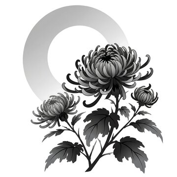 Chrysanthemum Flowers Blooming in Japanese Irezumi Art Style for Tattoo Design