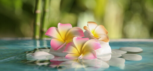 Lake with spa stones and beautiful plumeria flowers in tropical garden