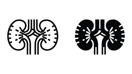 Fototapeta premium Kidney anatomy with blood vessels illustration