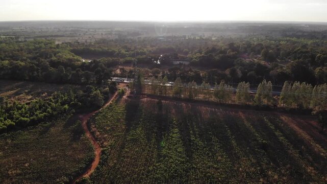Remaining scattered community forest patches in the Northeast, Thailand.
