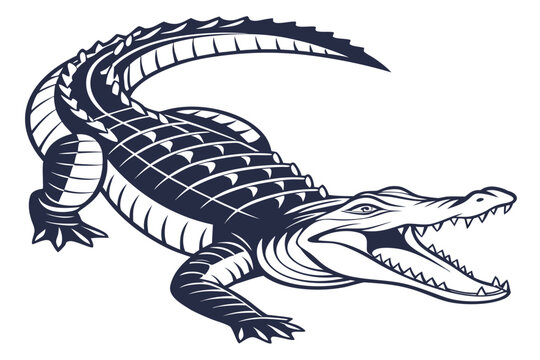 Crocodile and snake vector design