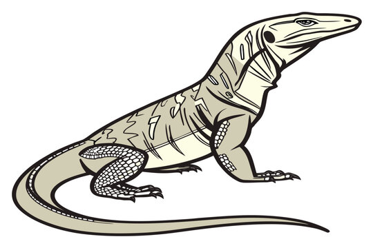Crocodile and snake vector design