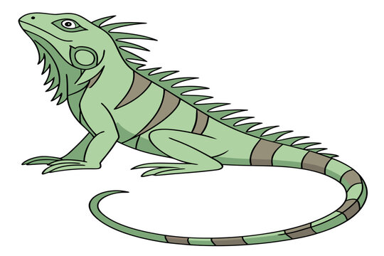 Crocodile and snake vector design