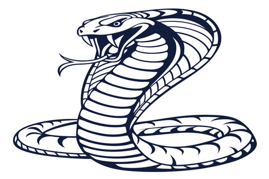 Crocodile and snake vector design