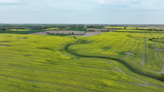 Aerial farms summer yellow Rapeseed Poland drift 1. rural agricultural landscape. Bright yellow Rape seed canola oil plants. Farming economy food vegetable oil biodiesel production.