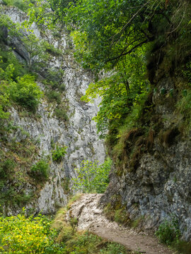 Rocky cliffs footpath forest landscape in Turda Gorge, Romania