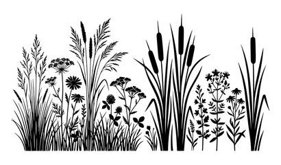 Wild grass and field flower silhouette vector set with reeds cattails and meadow plants © MdRabbi