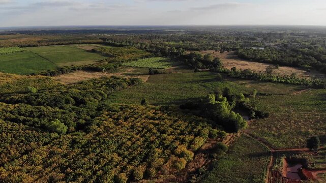 Aerial view of the rubber plantation areas in Northeast Thailand to boost the local economy.