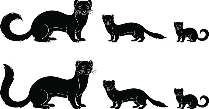 Ferret silhouette collection, black animal vector set, playful weasel illustration, domestic pet design, creative wildlife art for stock use