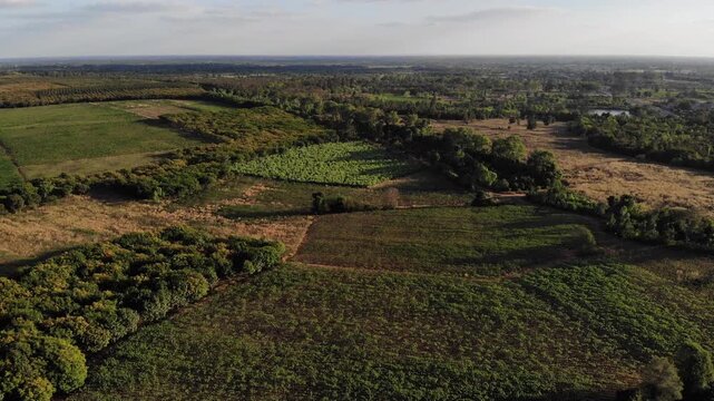 Aerial view of the rubber plantation areas in Northeast Thailand to boost the local economy.