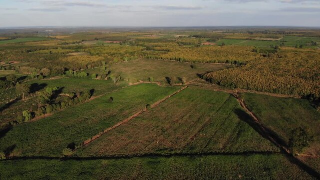 Aerial view of the rubber plantation areas in Northeast Thailand to boost the local economy.
