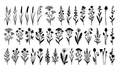 Minimal wild grass and floral silhouette vector collection isolated on white © MdRabbi