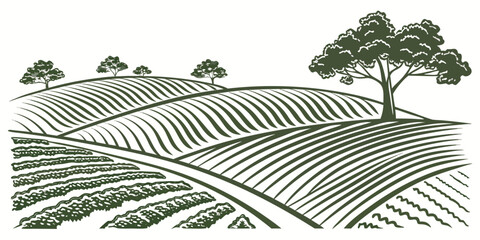 Stylized agricultural field landscape with rolling hills and a prominent tree landscape farmland agriculture illustration cultivated environment engraving background vegetation production © Lisa